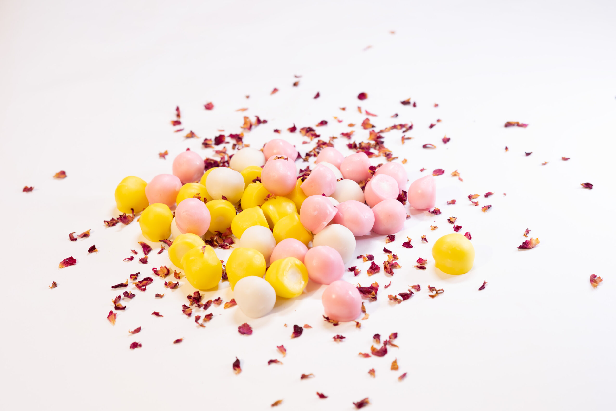 fondate-landscape (1)