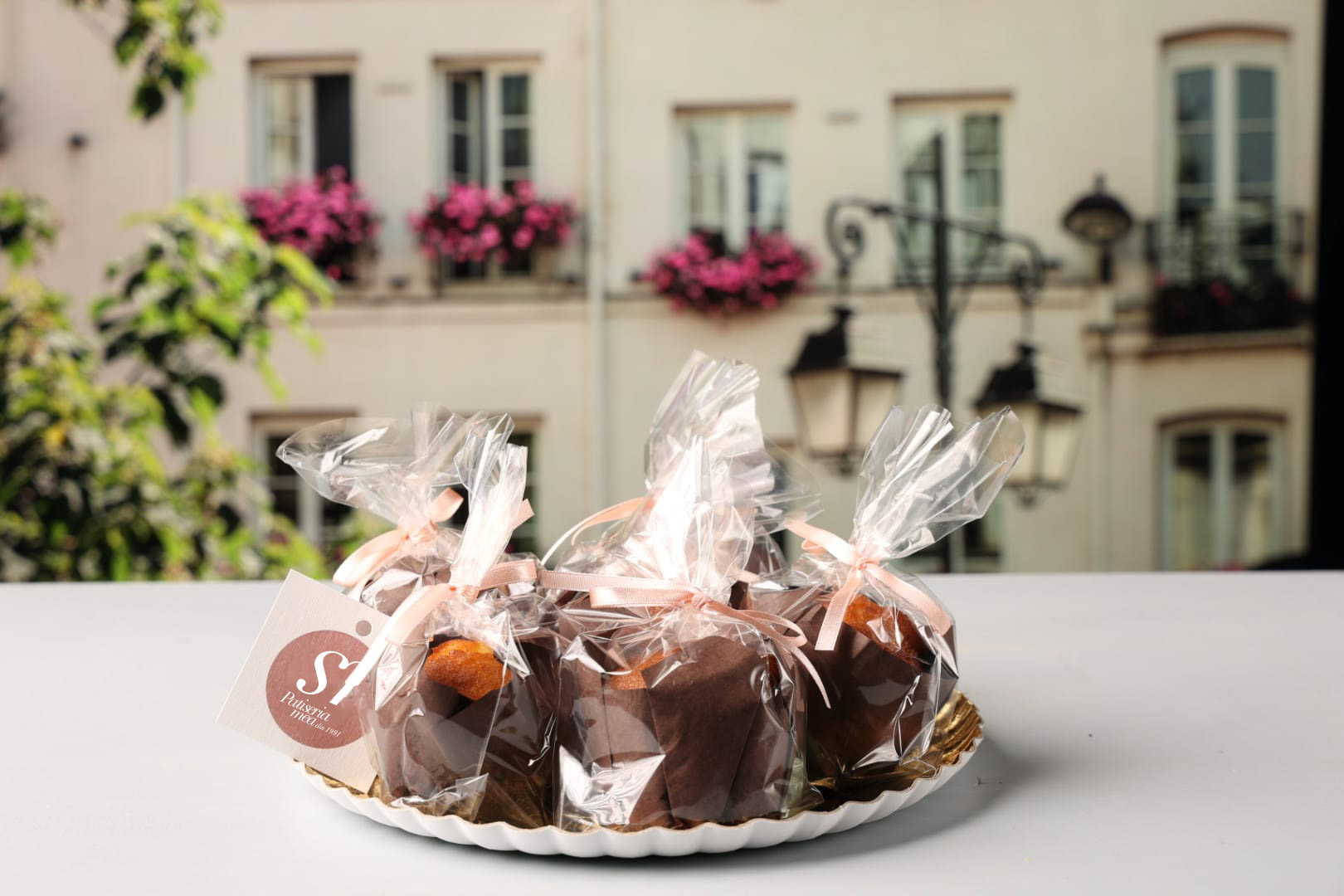 briose lamaie 1991-1