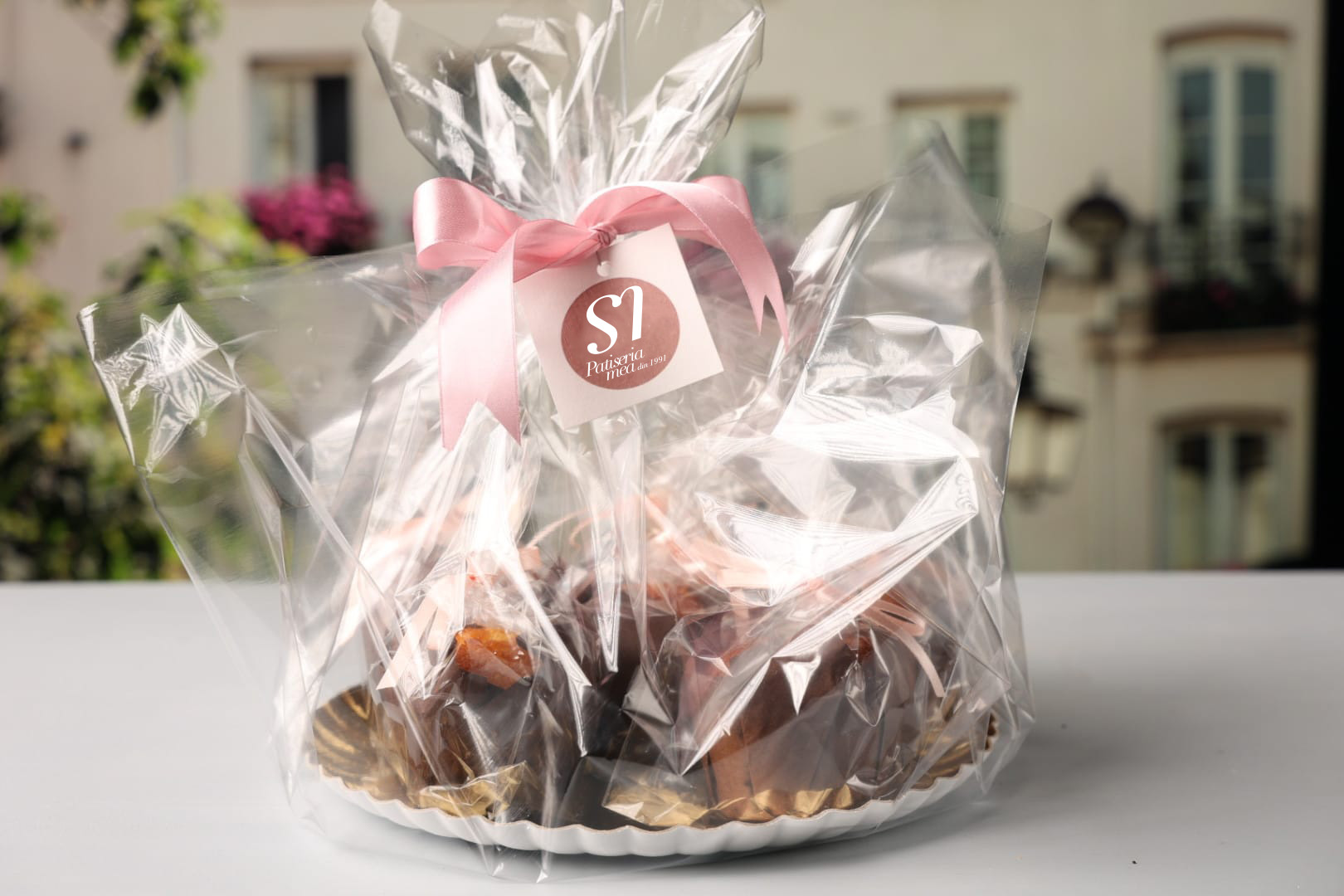 briose lamaie 1991-2